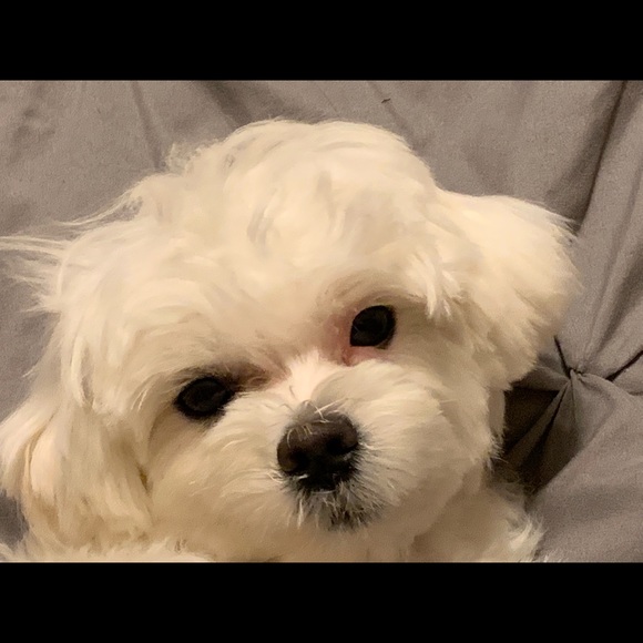 ⭐️⭐️CHECK OUT 💥⚡️✨💫 - Picture 6 of 8